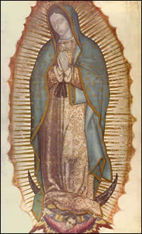 Virgen Santisima de Guadalupe